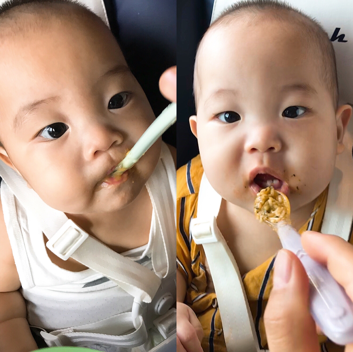 宝宝辅食—有机番茄青菜鳕鱼面的做法 步骤14