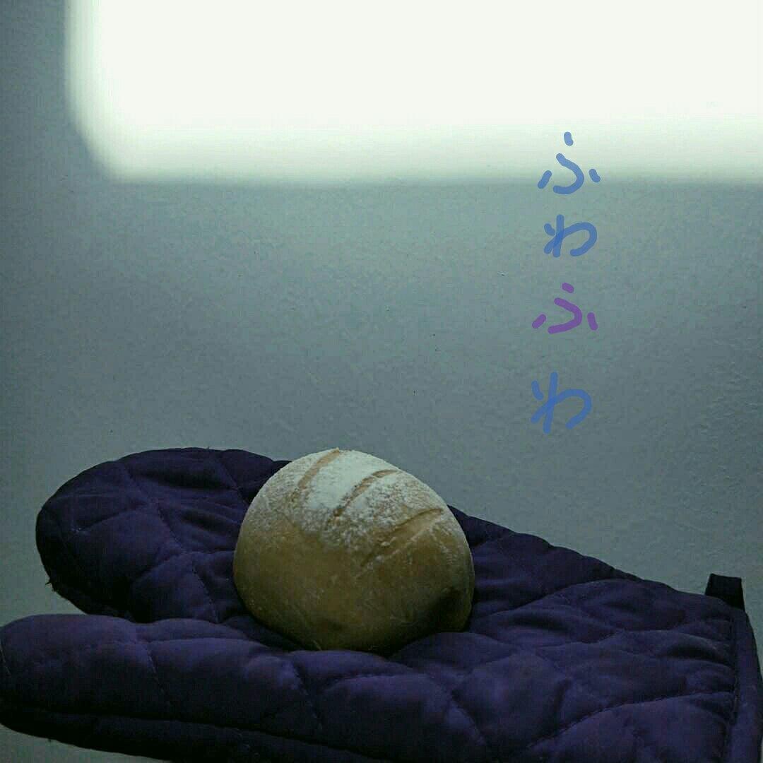 全麦蔓越莓软式欧包（免揉）