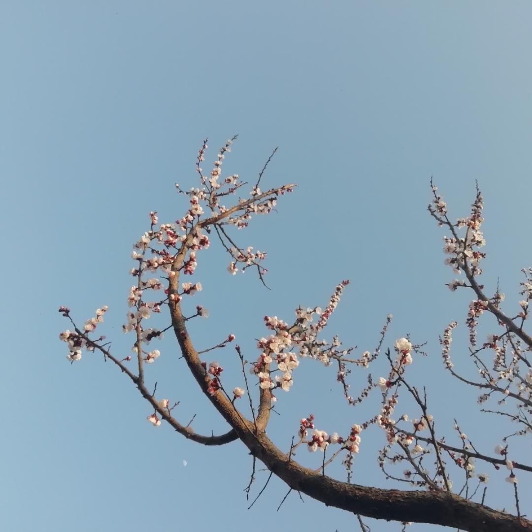 舌尖上的风味