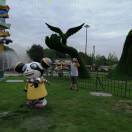 手机用户5031_wruv