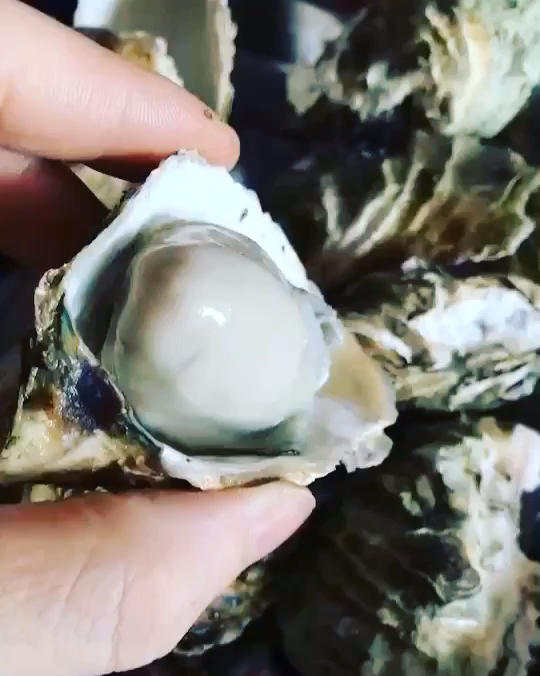 堪比烤生蚝的高压锅生蚝