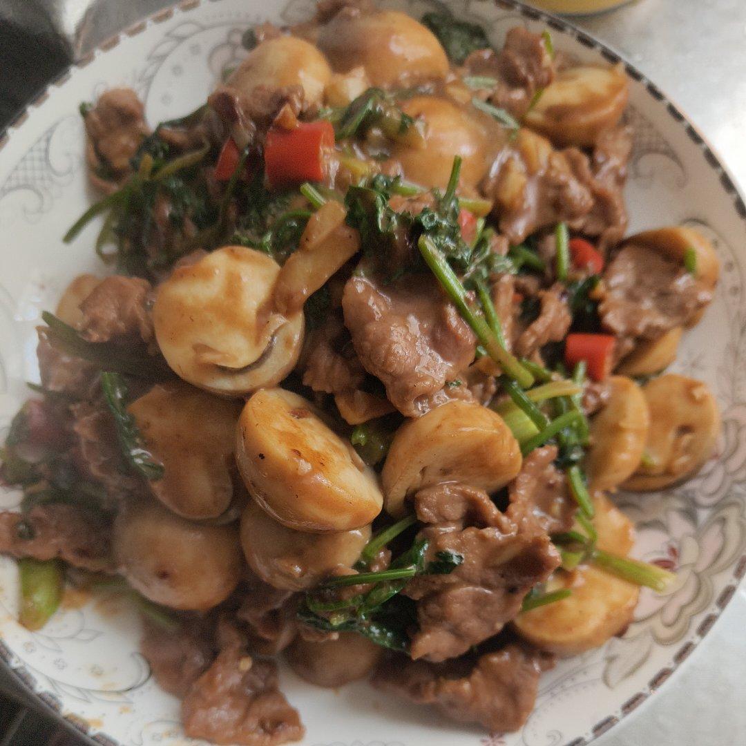 草菇牛肉（米饭杀手系列九）