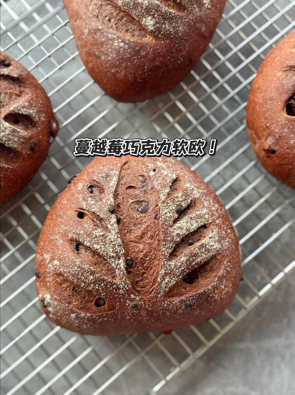 巧克力蔓越莓软欧