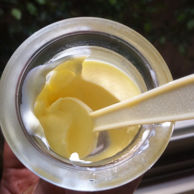 经典奶酪布丁