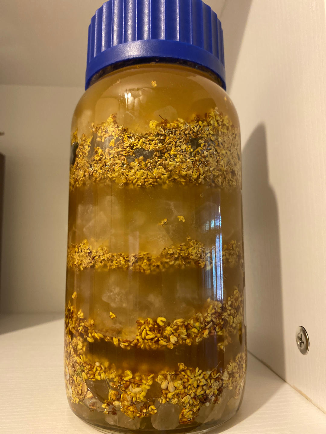 奶奶教我做的桂花蜜 满屋飘香 一次就成功了