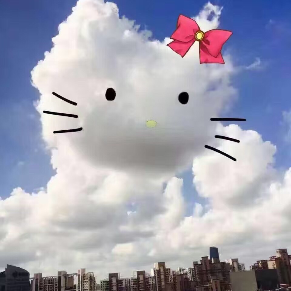 含乐玉子66