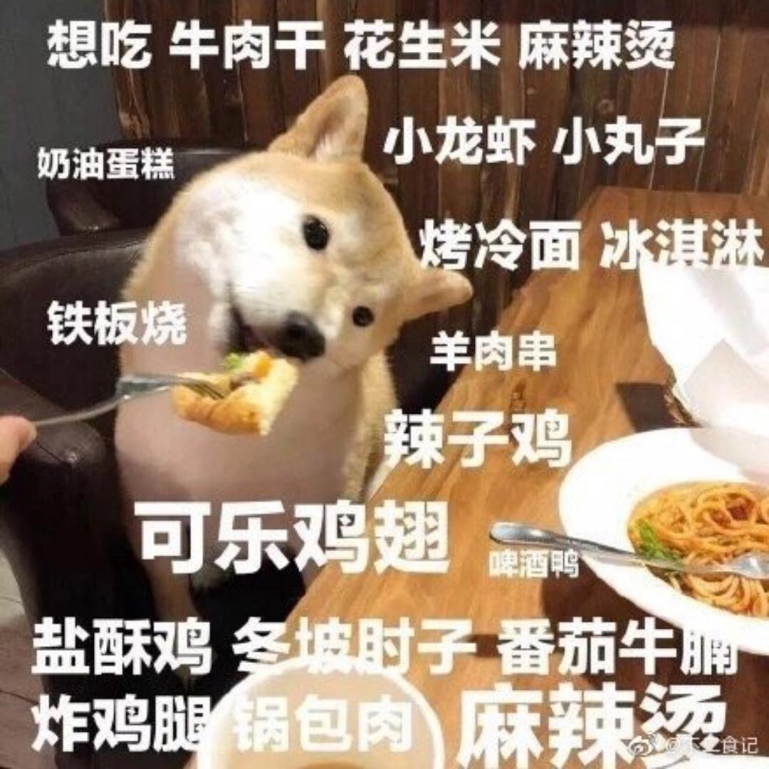 爱生活的孙富婆