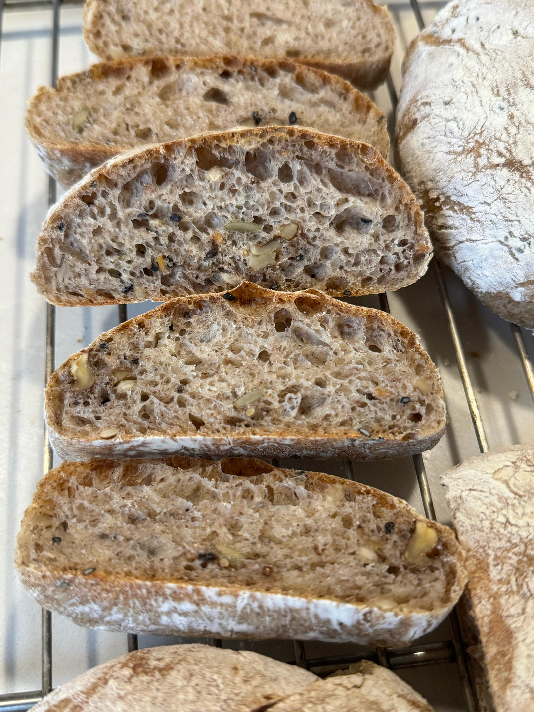 下午茶•2026年3月17日