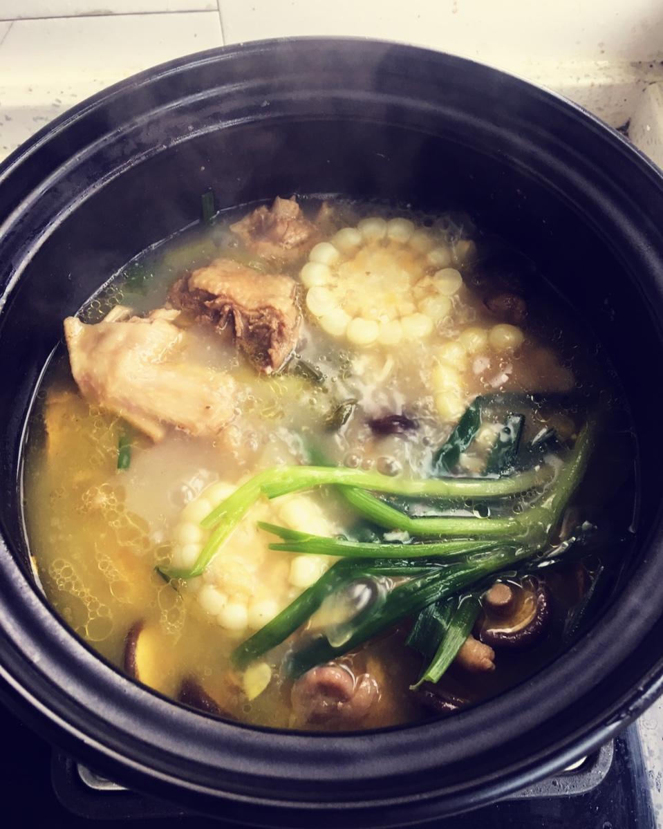 煲靓汤 老母鸡汤