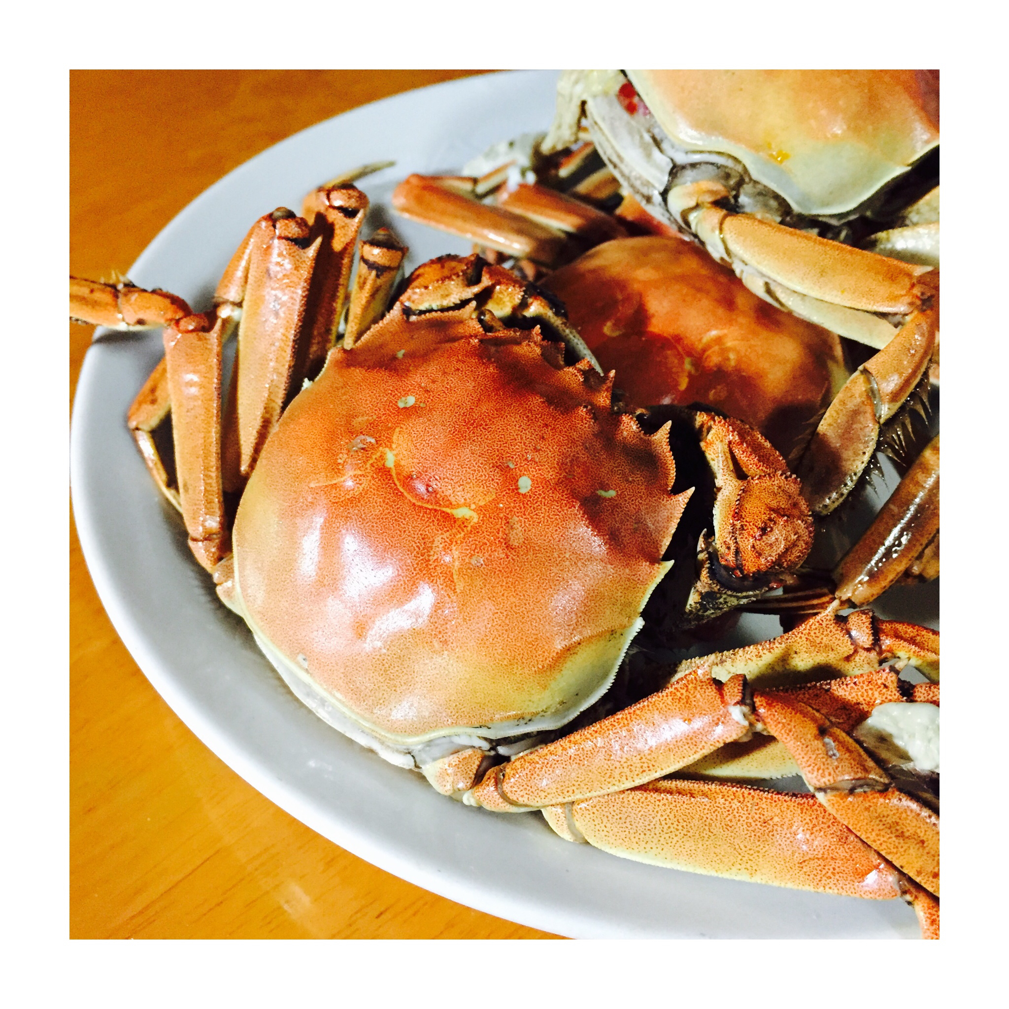 清蒸大闸蟹