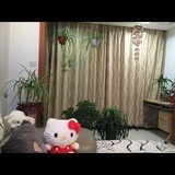 百合之梦