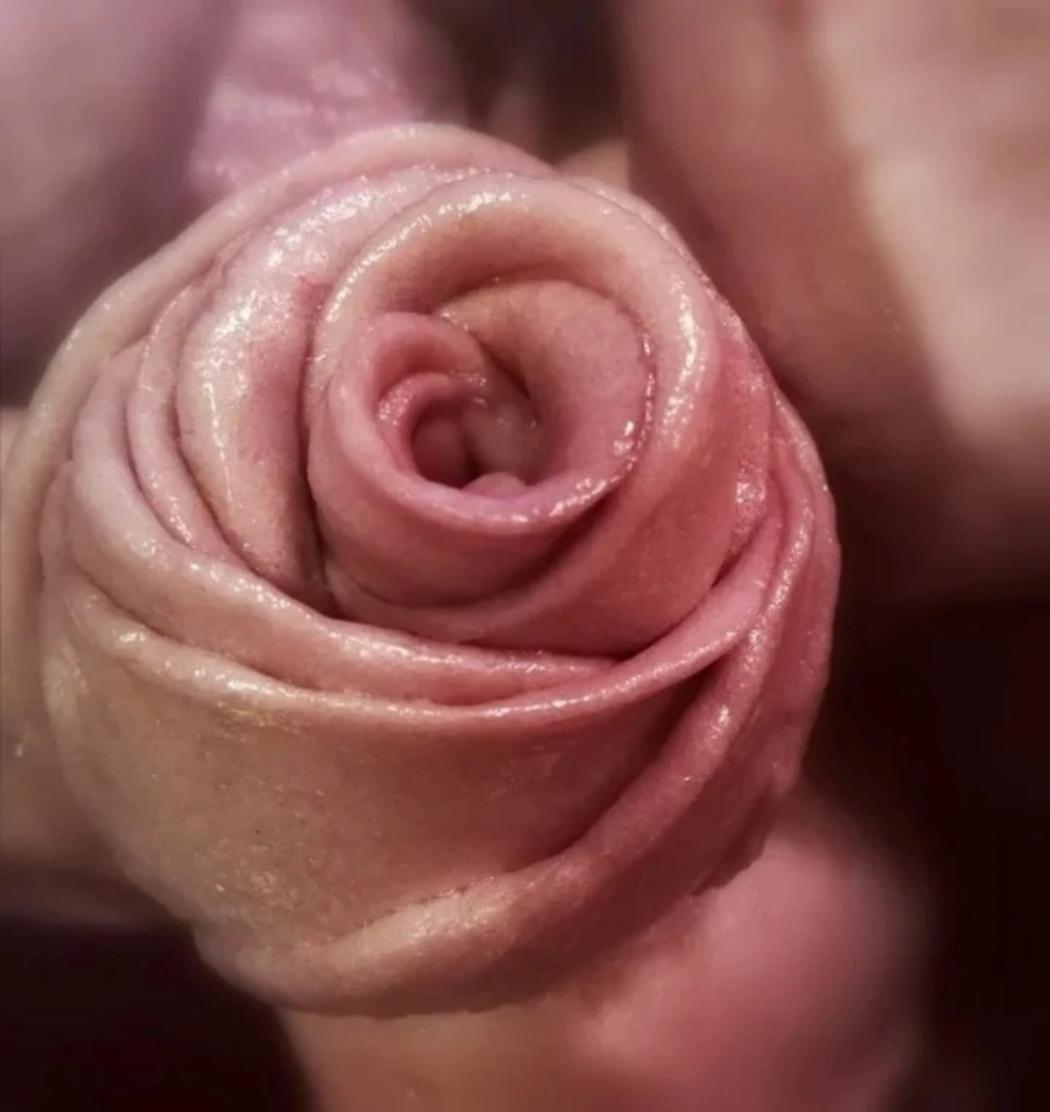 紫薯玫瑰花馒头