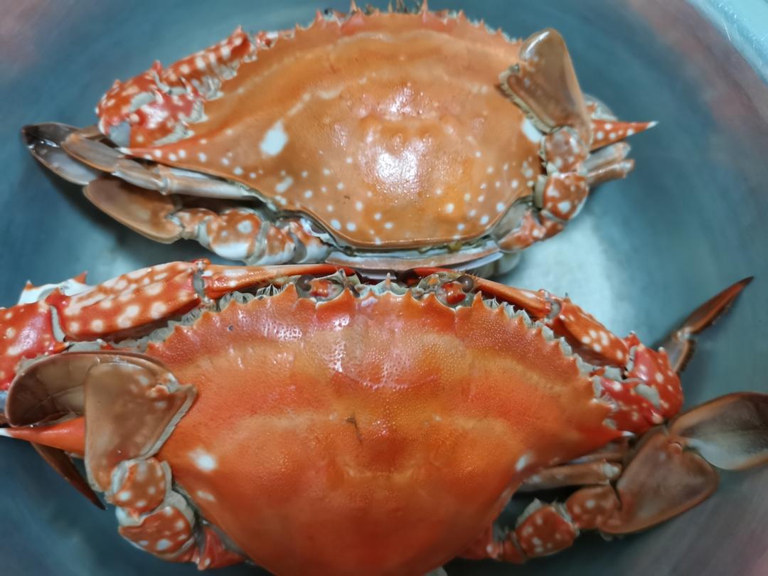 8月螃蟹正鲜美，大厨教你一招，蒸螃蟹不掉腿不流黄，好看又好吃