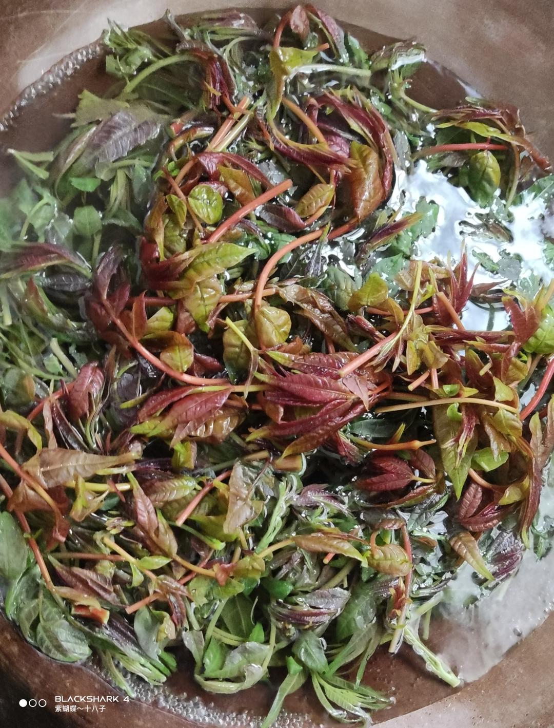 香椿炒蛋超级无敌香