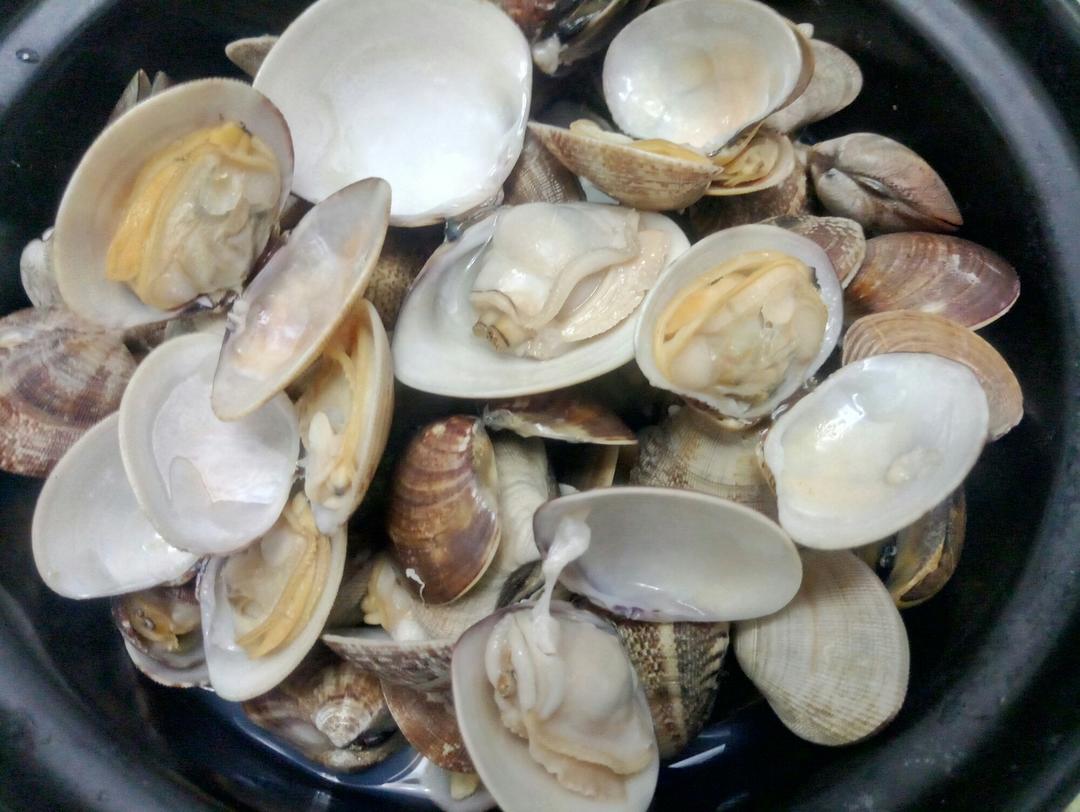 白灼蛤蜊各种贝类_贝类_美食_大连本地网