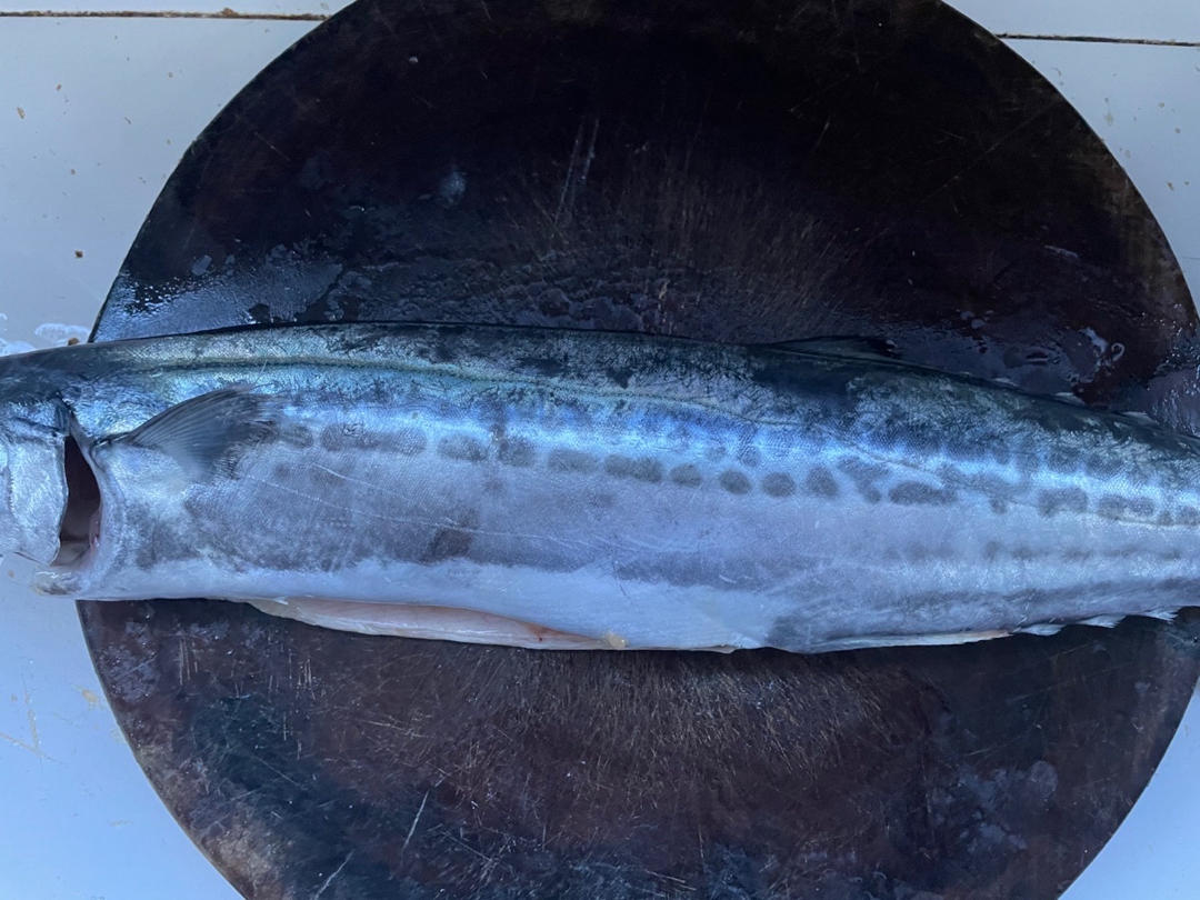 鲅鱼水饺