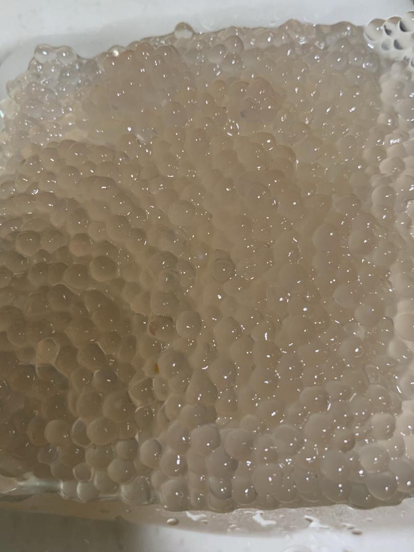 超节省资源的煮西米方法