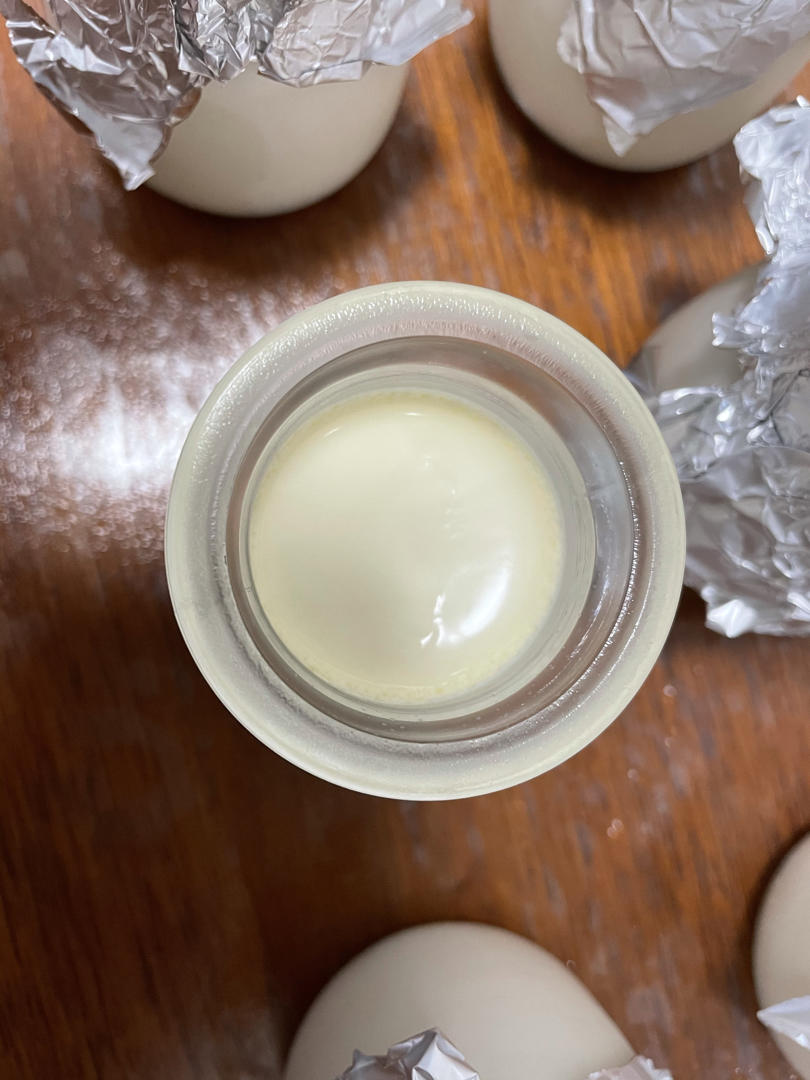 酸奶吐司（100%中种法）可以吃到酸奶的吐司
