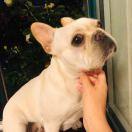 不爱做饭的毛线