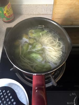 鸡汤馄饨面-雪后初霁的小确幸的做法 步骤5