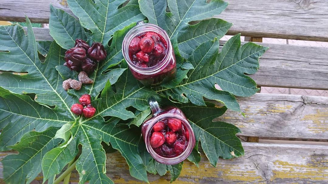 洛神花
植物界的紅寶石
