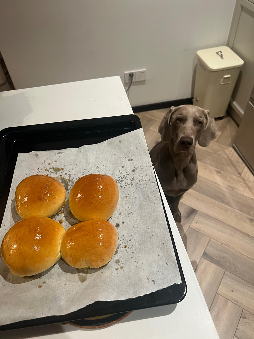 羽毛般柔软拉丝 | 奶呼呼的牛奶云朵小餐包