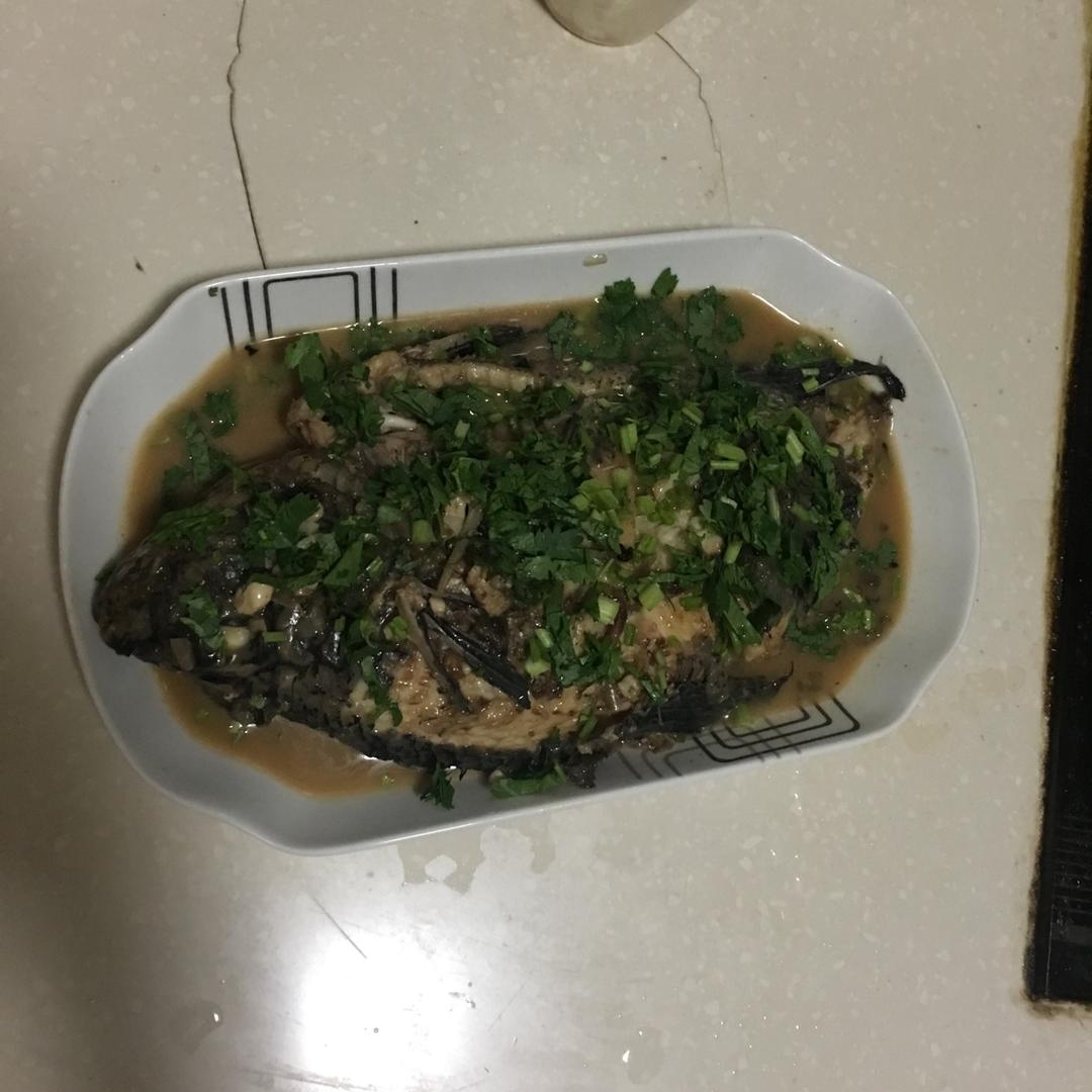 红烧罗非鱼