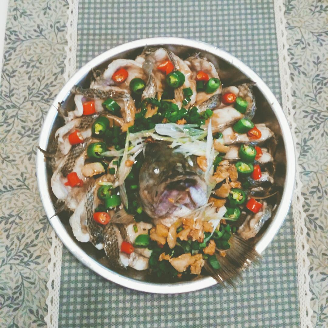 孔雀开屏鱼.