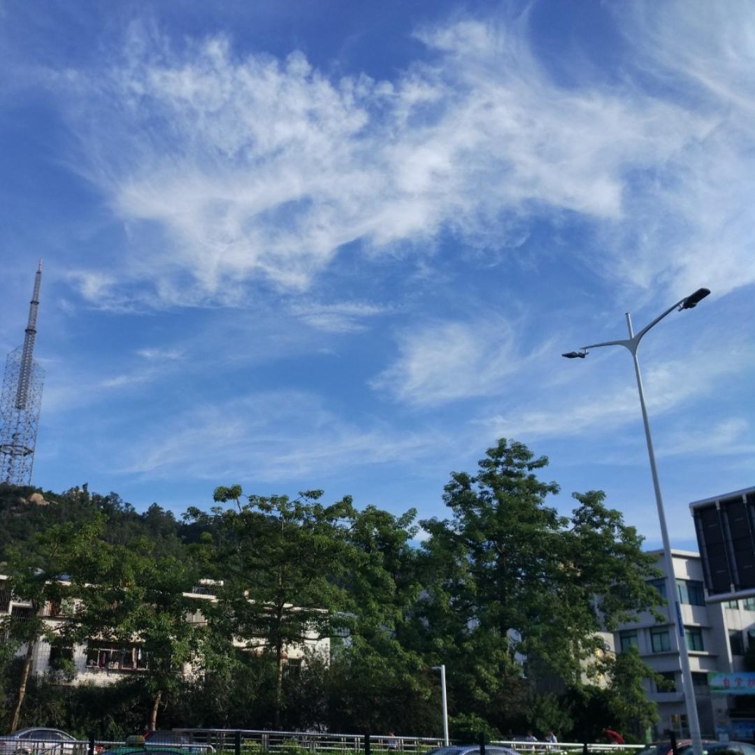 春日苦短