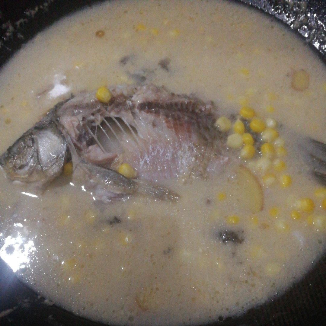 玉米鲫鱼汤