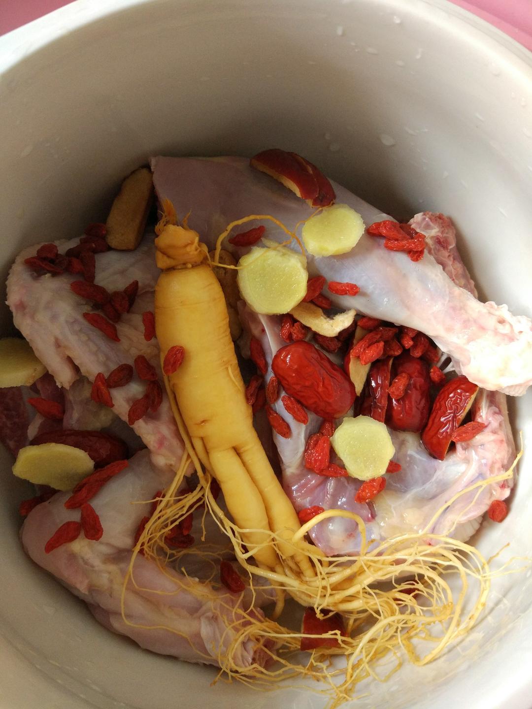 手机用户4932_cr1p胃食猫做的鲜人参炖鸡汤