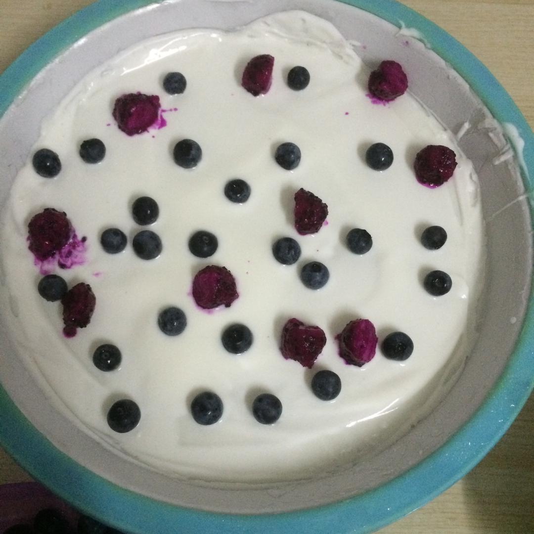酸奶水果薄脆Yogurt Fruits Bar