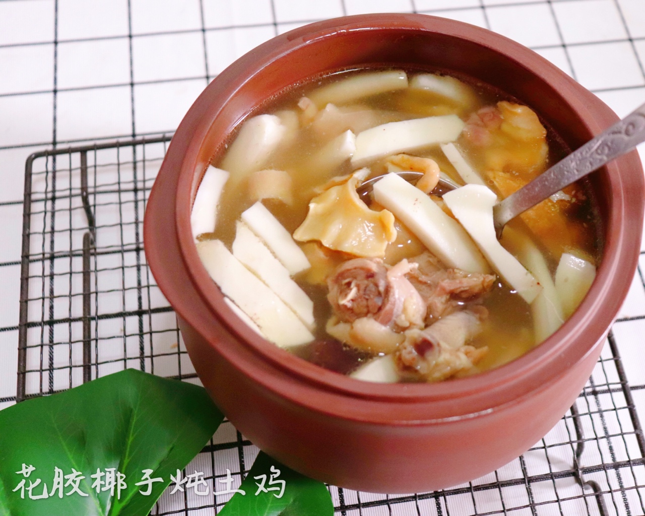 椰子花胶土鸡汤-健脾益气/养血润燥的养颜汤