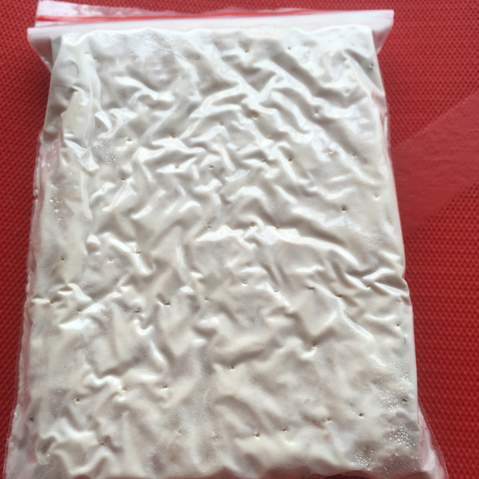 自制天贝（Tempeh）