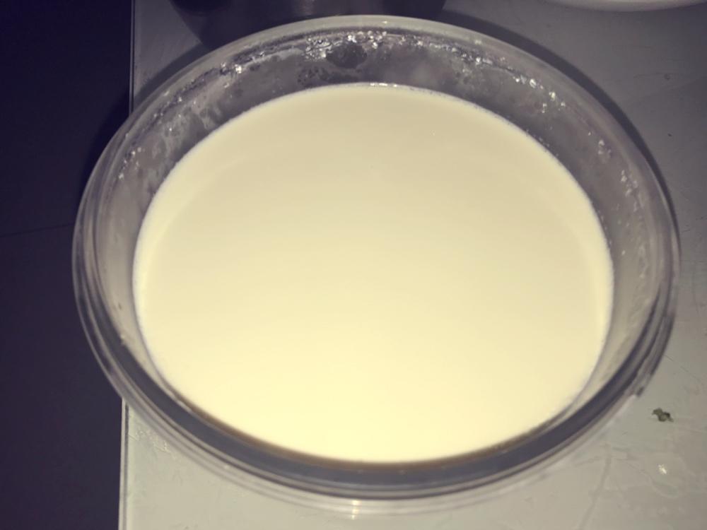 吃豆腐啦！——小嶋老师茉莉奶冻