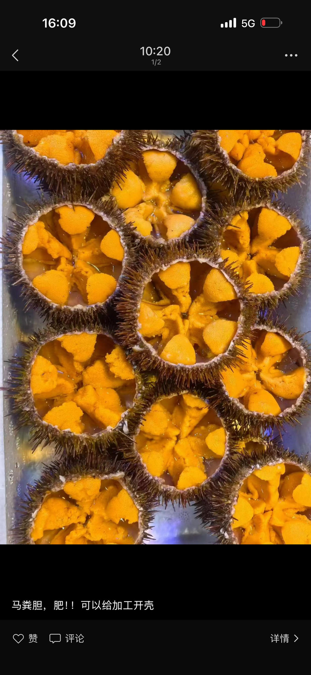 海鲜正肥