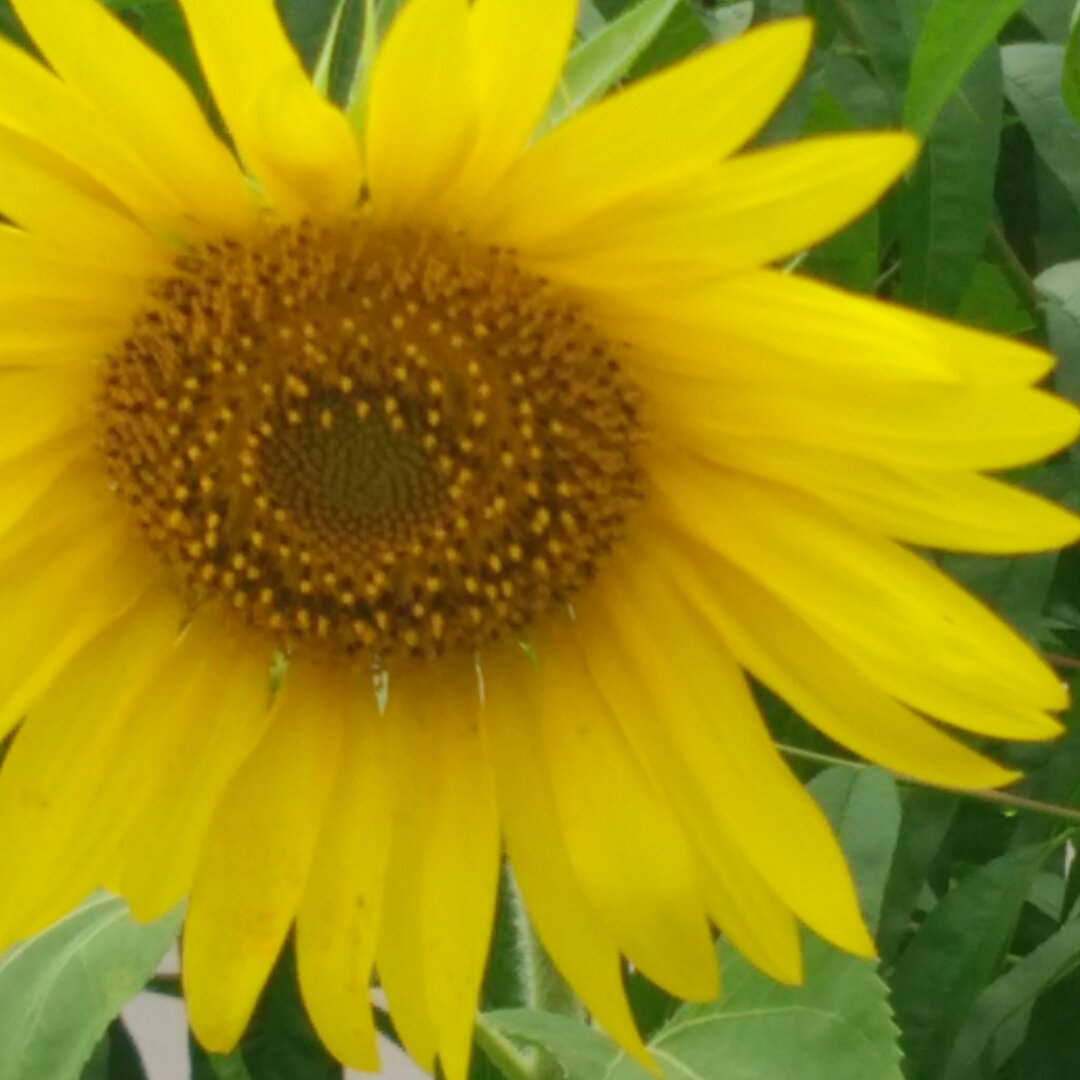 手机用户9611_qcyf