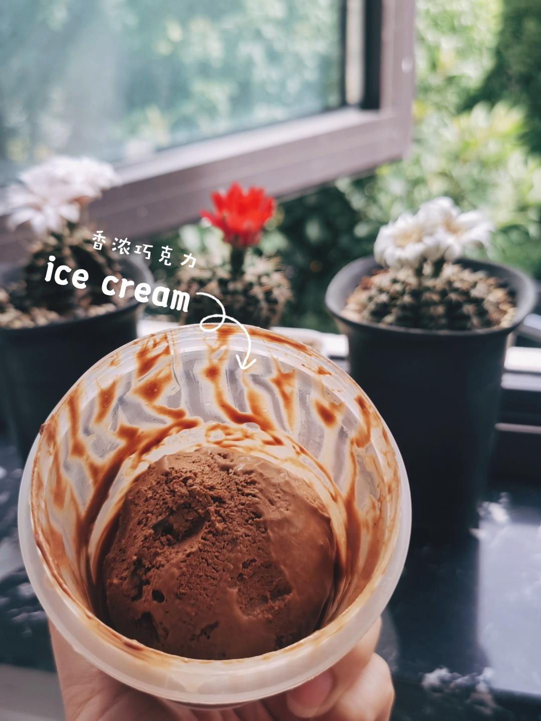拒绝生蛋，巧克力冰淇淋