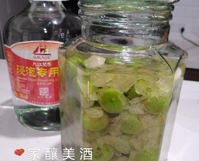 【家釀美(梅)酒】🍾🍾🍾的做法