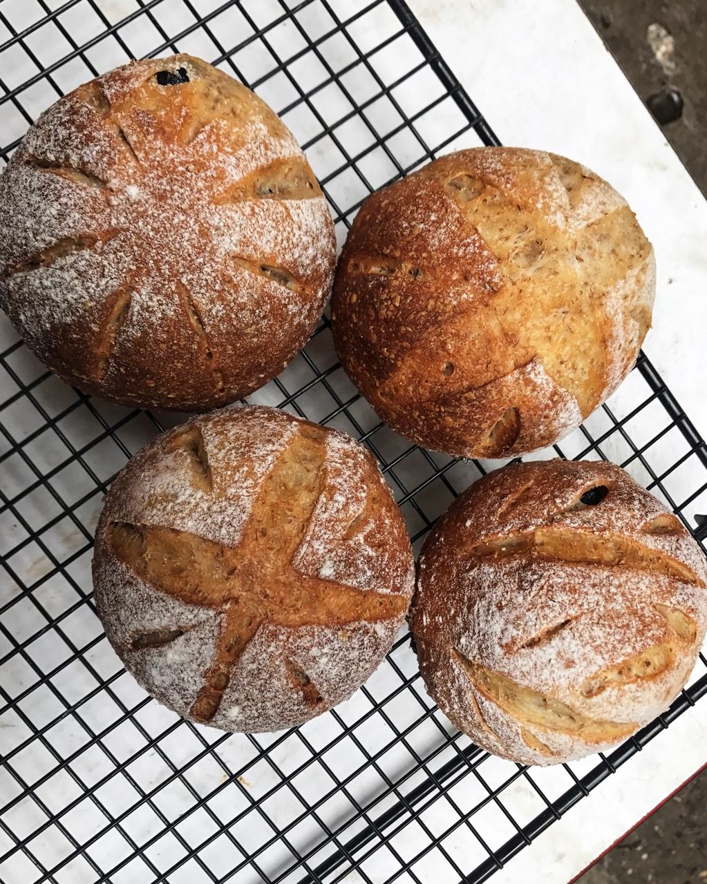 全麦蓝莓酸奶软欧