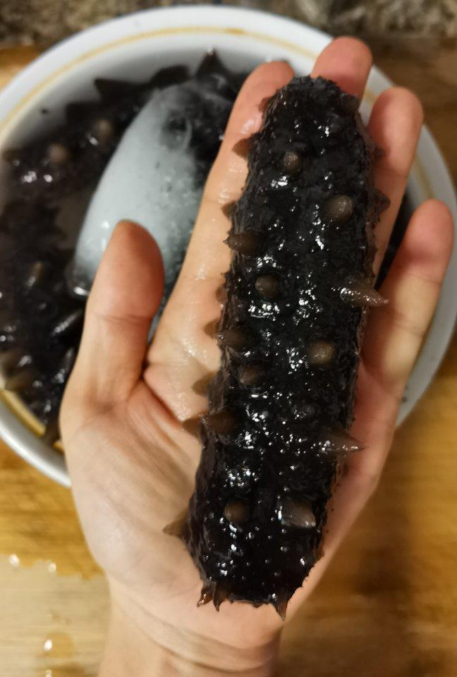 如何泡发淡干海参
