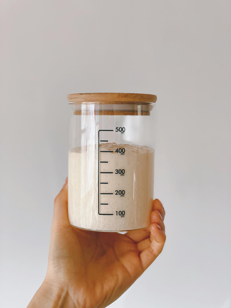 天然酵种、鲁邦种         （黑裸麦起种）