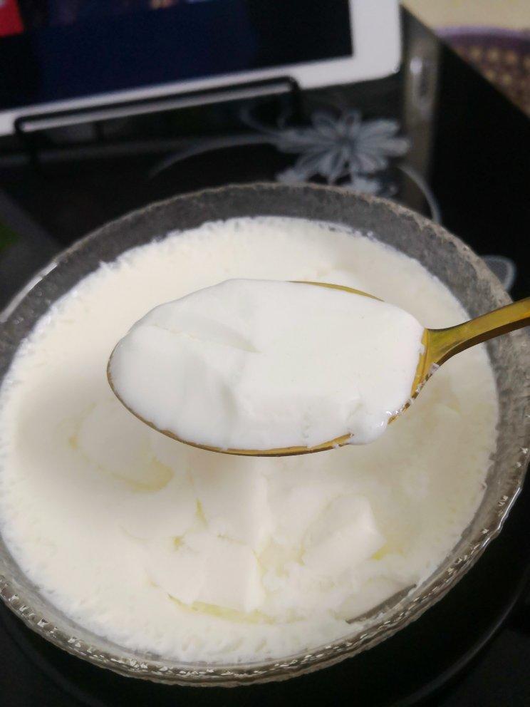 简易姜撞奶（包成功）