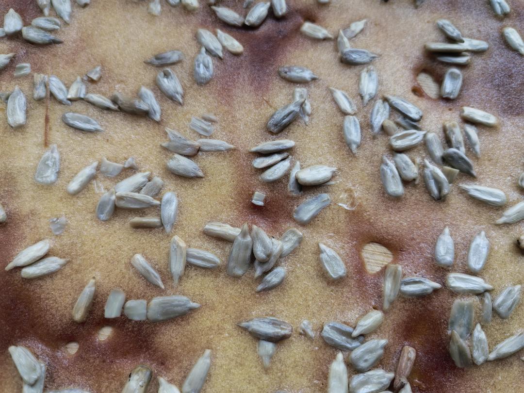 瓜子薄脆饼干烤箱版快手消耗蛋清