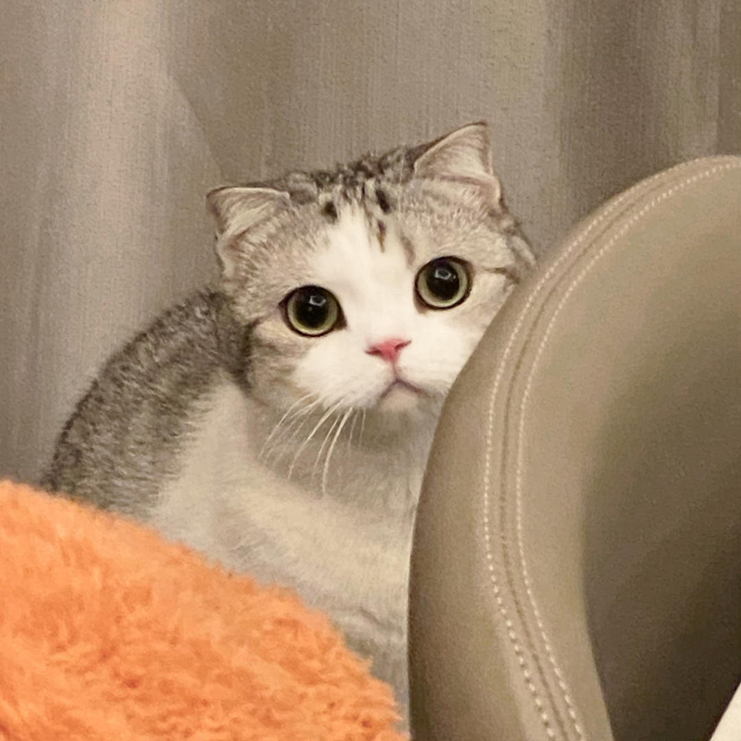 小厨渣要慢慢长大