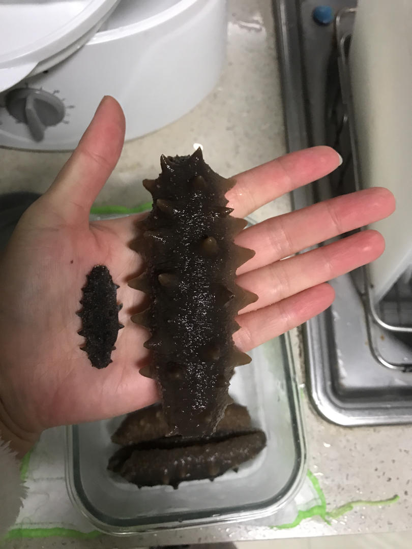 【小森妈妈菜谱】最正确的海参泡发方法