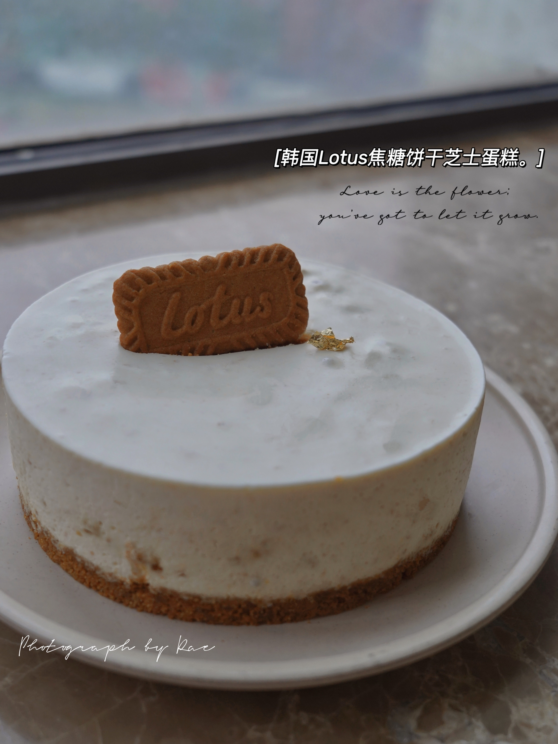 韩国Nebokgom  lotus焦糖饼干芝士慕斯蛋糕