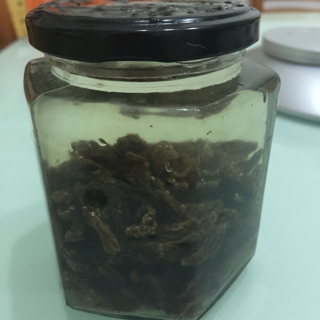 天然酵母宝宝养成记
