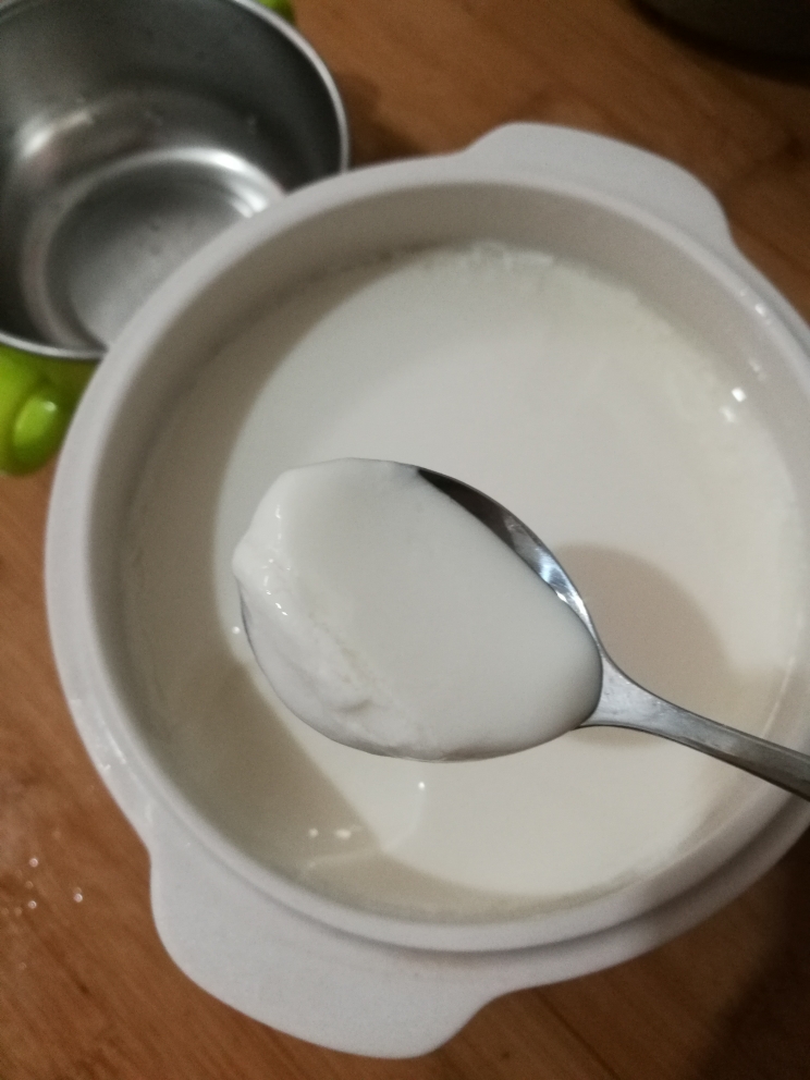 电炖盅自制酸奶的做法
