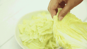 乾隆白菜的做法 步骤2